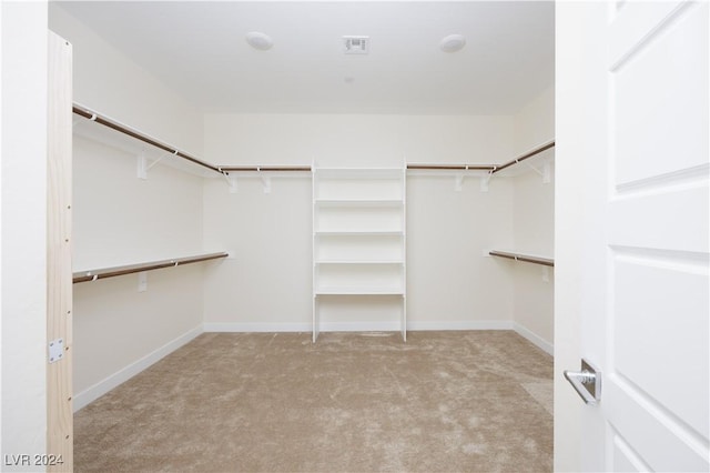 510 Duvet Ct, Henderson, NV 89012 - walk in closet with carpet floors