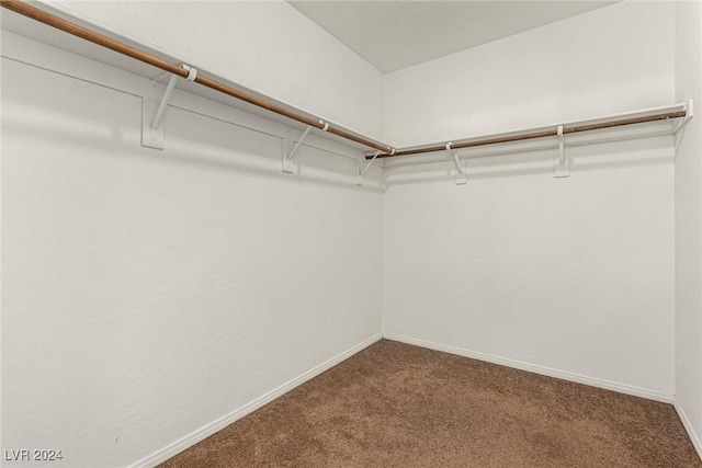 walk in closet featuring carpet floors