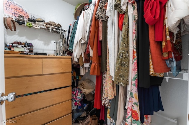 view of spacious closet