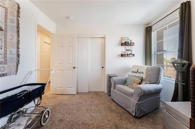 living area featuring carpet flooring