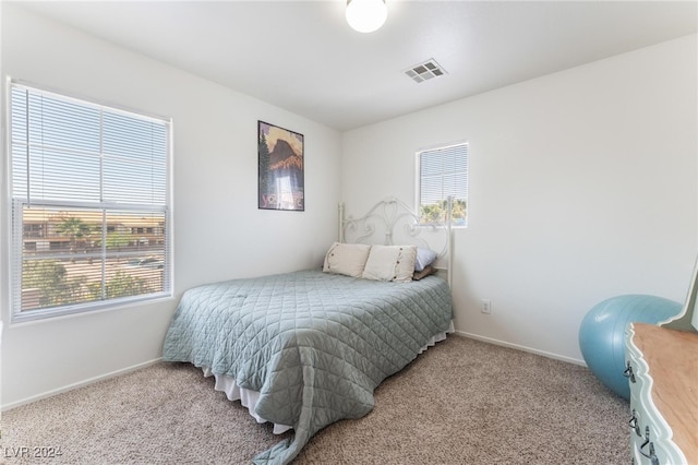 carpeted bedroom featuring multiple windows