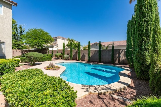 view of swimming pool