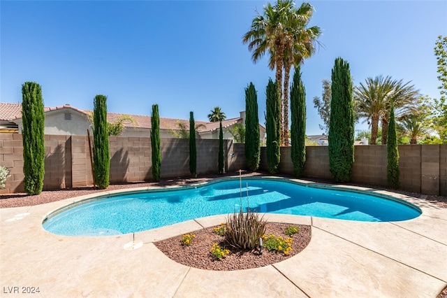 view of pool with a patio