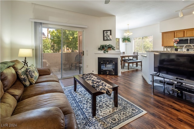 living room with an inviting chandelier, dark hardwood / wood-style floors, and rail lighting