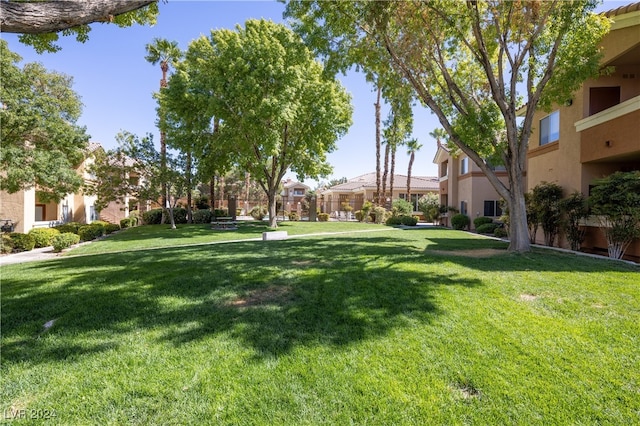 view of home's community with a lawn