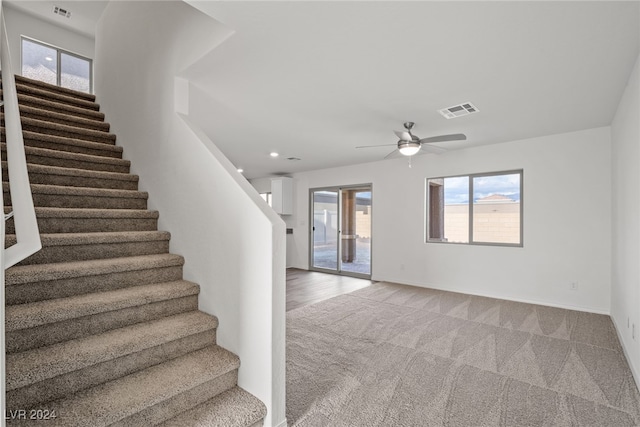 stairway featuring ceiling fan and carpet