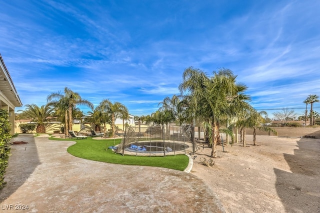 view of yard featuring a patio and a trampoline