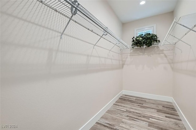 walk in closet with hardwood / wood-style flooring