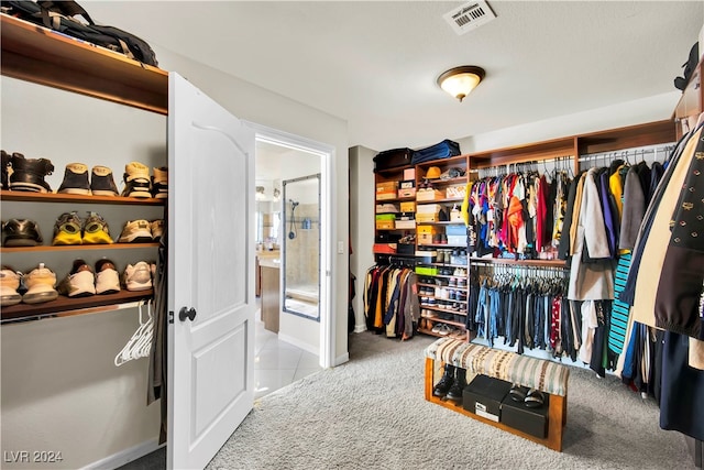 spacious closet with light colored carpet