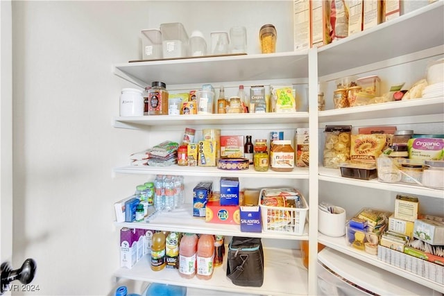 127 Birch Ridge Ave, Las Vegas, NV 89183 - view of pantry