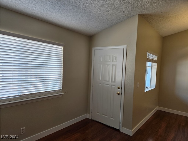 interior space with lofted ceiling, a textured ceiling, and dark hardwood / wood-style flooring