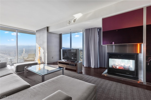 living room featuring a multi sided fireplace, a mountain view, hardwood / wood-style flooring, and expansive windows