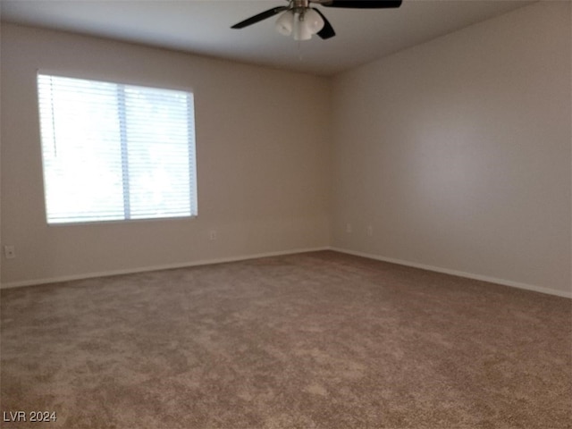 unfurnished room featuring ceiling fan and carpet floors