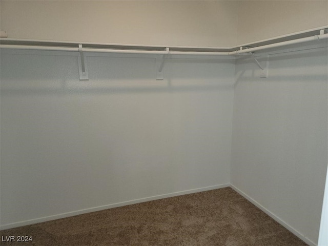 walk in closet featuring carpet flooring