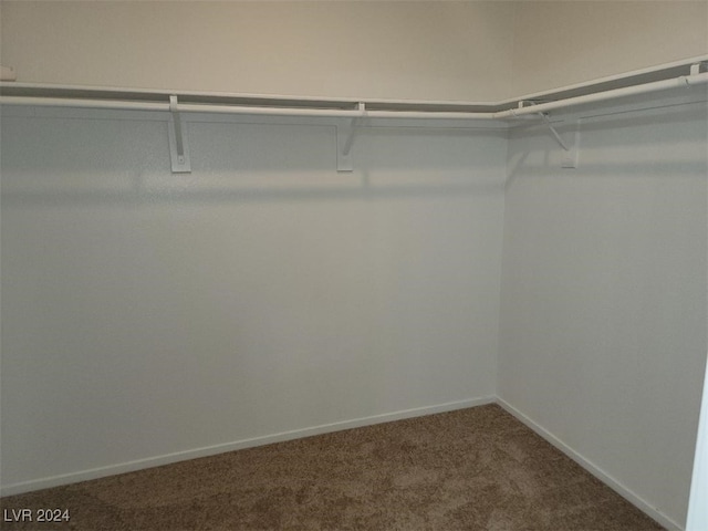 walk in closet with carpet floors
