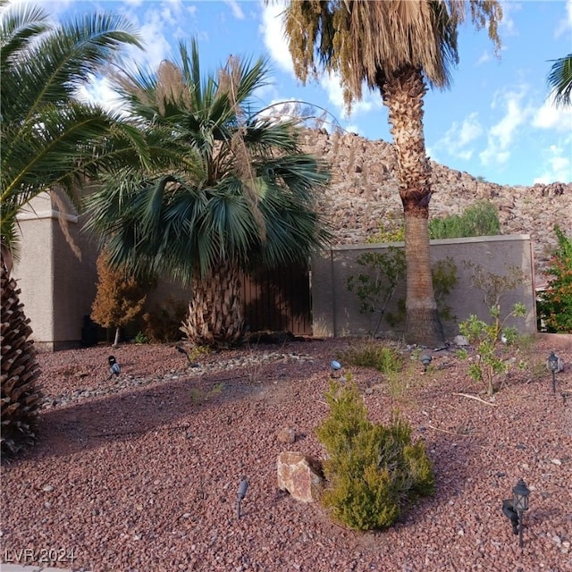 view of yard with a mountain view