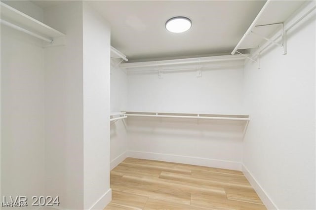 walk in closet with wood-type flooring