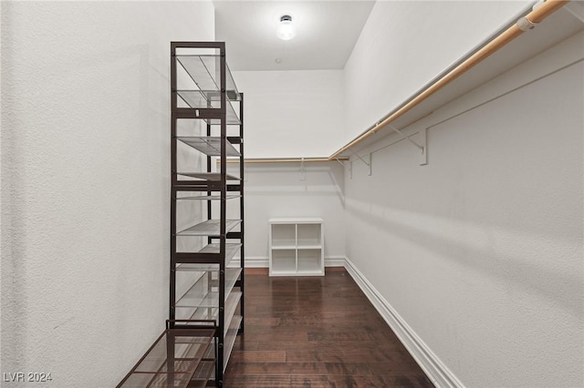 6 Lago Turchino Ct, Henderson, NV 89011 - spacious closet with wood finished floors