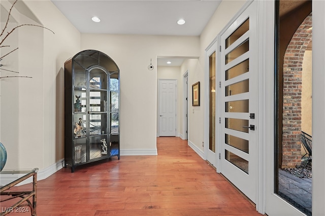 foyer featuring wood-type flooring