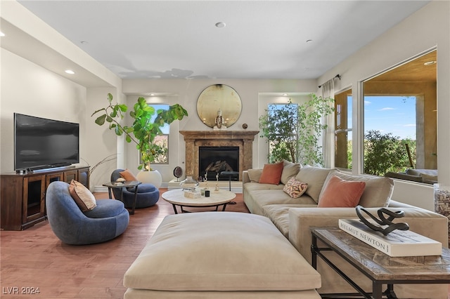 living room featuring hardwood / wood-style flooring and a fireplace