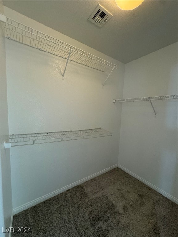 walk in closet with carpet