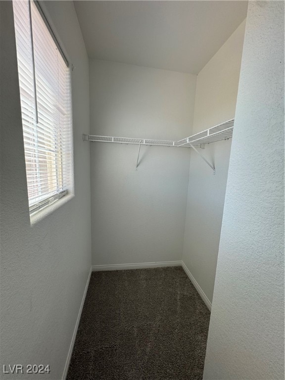 spacious closet featuring dark colored carpet