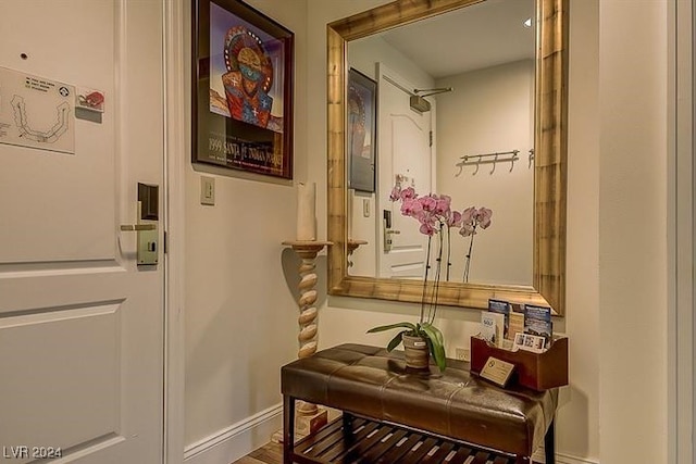 hallway with hardwood / wood-style floors