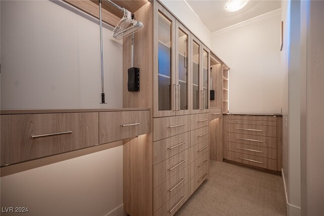 spacious closet with light colored carpet