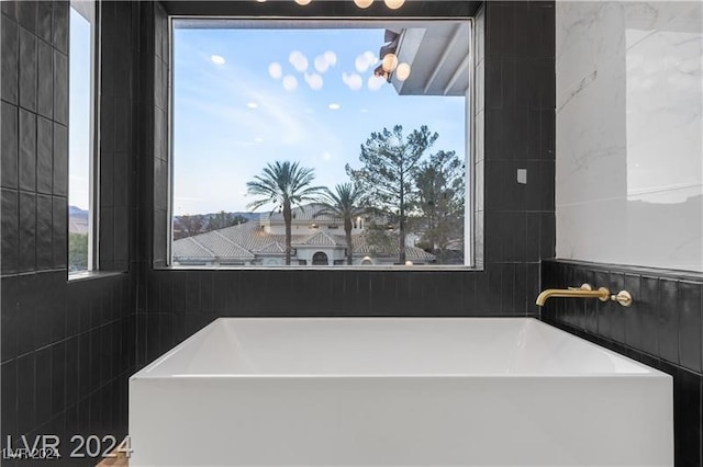 bathroom with a healthy amount of sunlight and a bathtub