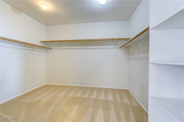 spacious closet with carpet flooring