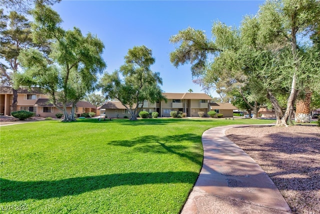 view of community featuring a lawn