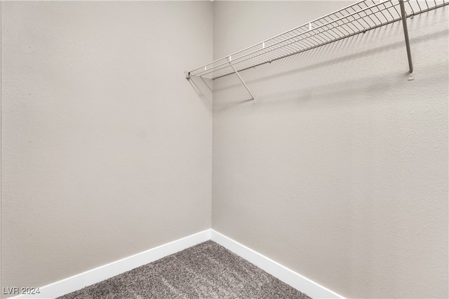 walk in closet featuring carpet