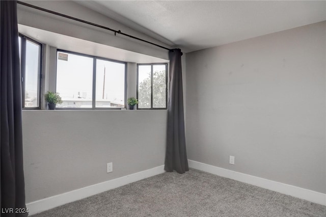 empty room with plenty of natural light and carpet flooring