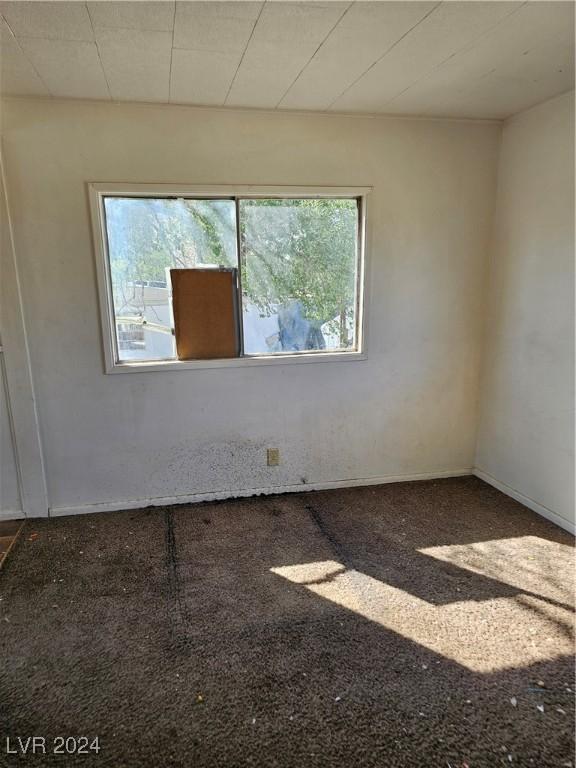 310 Arizona St, Tonopah, NV 89049 - unfurnished room with healthy amount of natural light and carpet floors