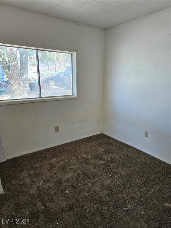 carpeted spare room with a wealth of natural light