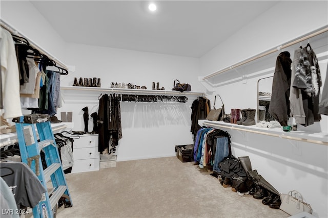 walk in closet featuring light colored carpet