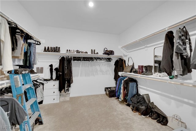 walk in closet with light colored carpet