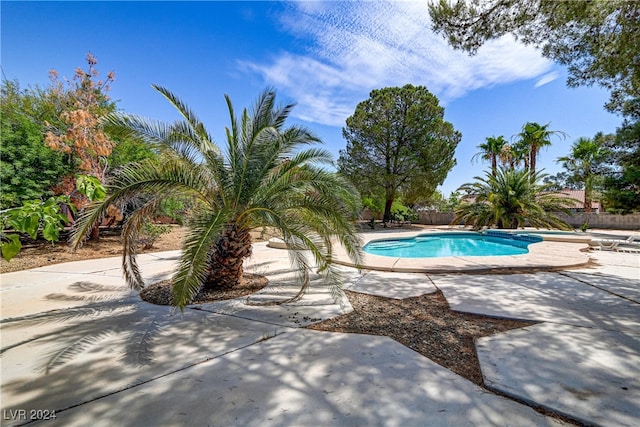 view of pool featuring a patio area