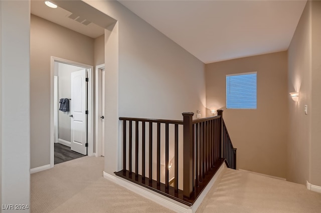 staircase featuring carpet floors