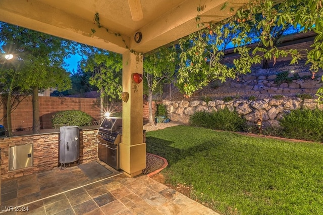 view of patio / terrace with exterior kitchen