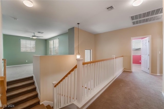 staircase featuring carpet flooring and ceiling fan