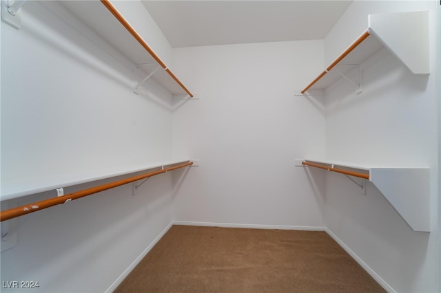 walk in closet featuring carpet floors