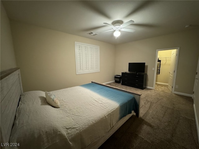 bedroom with carpet, a spacious closet, ceiling fan, and a closet