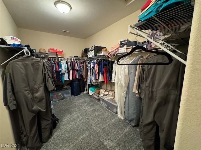 walk in closet featuring carpet floors