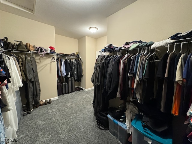 walk in closet with carpet flooring