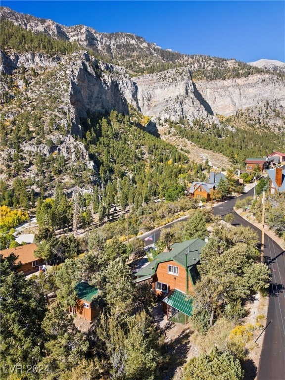 birds eye view of property with a mountain view