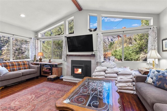 living room with a wood stove, a healthy amount of sunlight, and hardwood / wood-style flooring