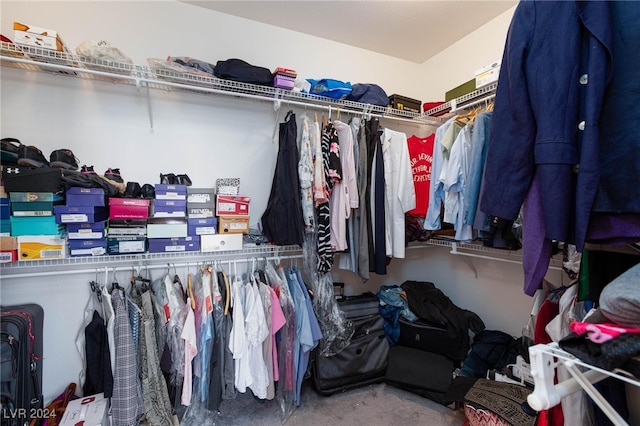 spacious closet featuring carpet