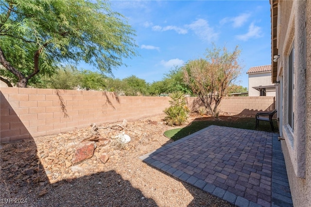 view of yard featuring a patio