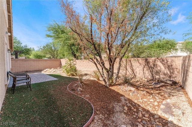 view of yard with a patio